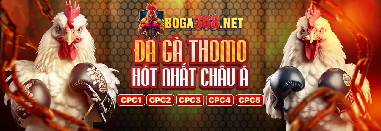 Cá cược thể thao sôi động tại EV99