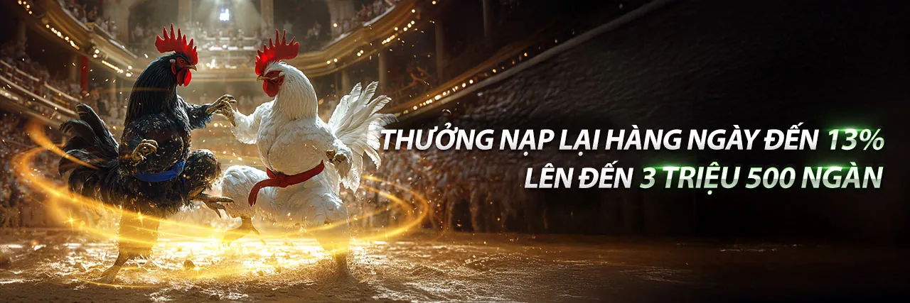 Chính sách quyền riêng tư tai ev99
